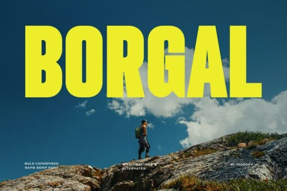 Borgal: The Bold Sans Serif Typeface for Modern Editorial Design