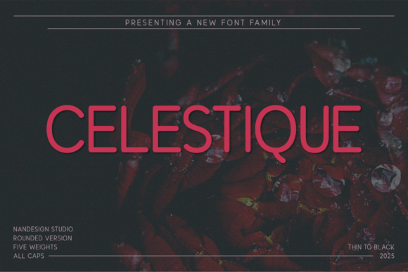 Celestique Rounded: The Modern Sans Serif for Scroll-Stopping Campaigns