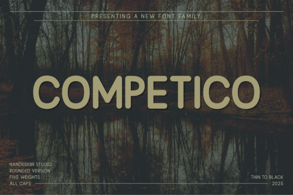 Competico Rounded: The Modern Typeface for Scroll-Stopping Visuals