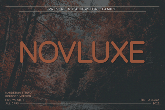 Novluxe Rounded: The Modern Typeface for Stronger Brand Identity